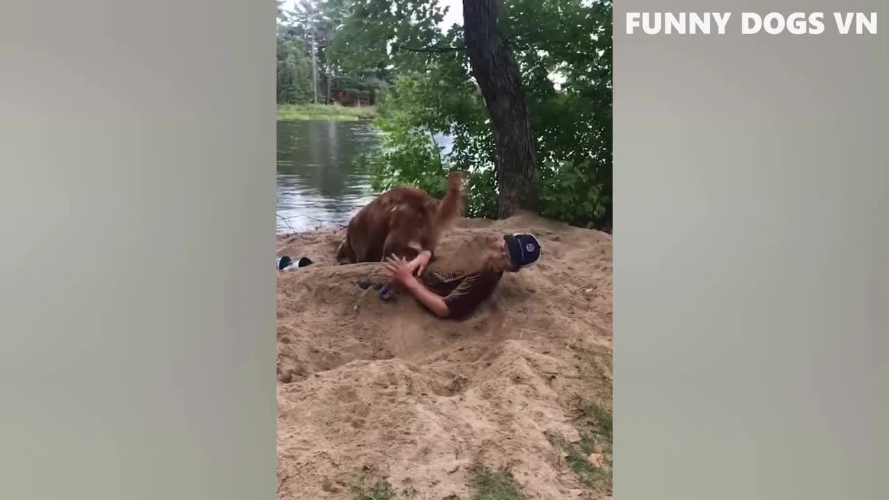 Bad boy, this is to bury the master