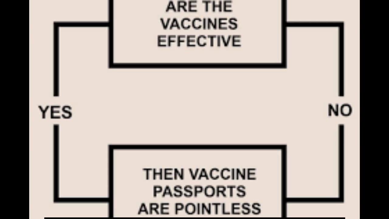 Then Vaccine Passports Are Pointless (voix de synthèse) (VOST)