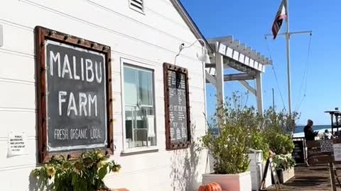 want to have lunch or din by the water in Malibu