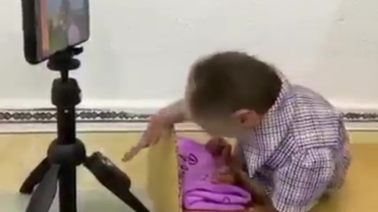 Care Taker Monkey #shorts #viral #shortsvideo#video