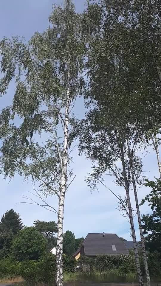 Himmel in Berlin am 17. Juni 2022 um 14:17 Uhr