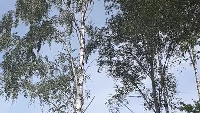 Himmel in Berlin am 17. Juni 2022 um 14:17 Uhr