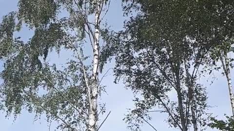 Himmel in Berlin am 17. Juni 2022 um 14:17 Uhr