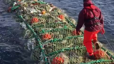 Fishing in Sea | MEETv