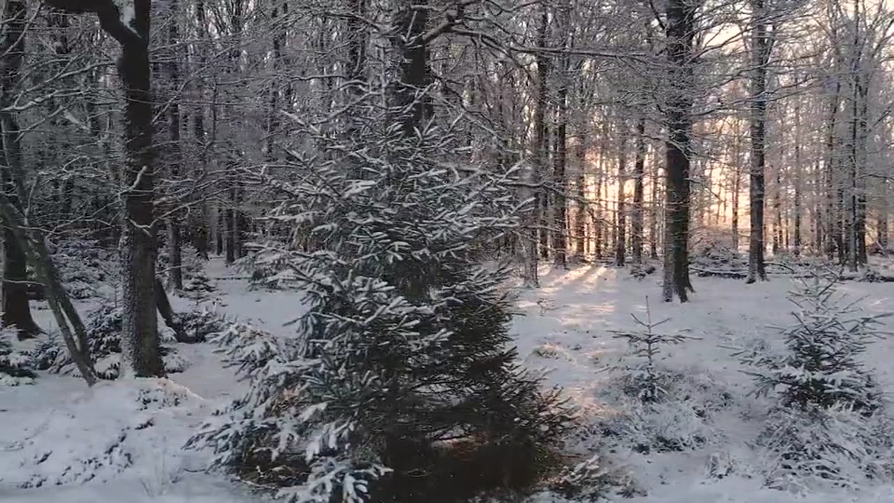 Mountains | view | Nature | Snow