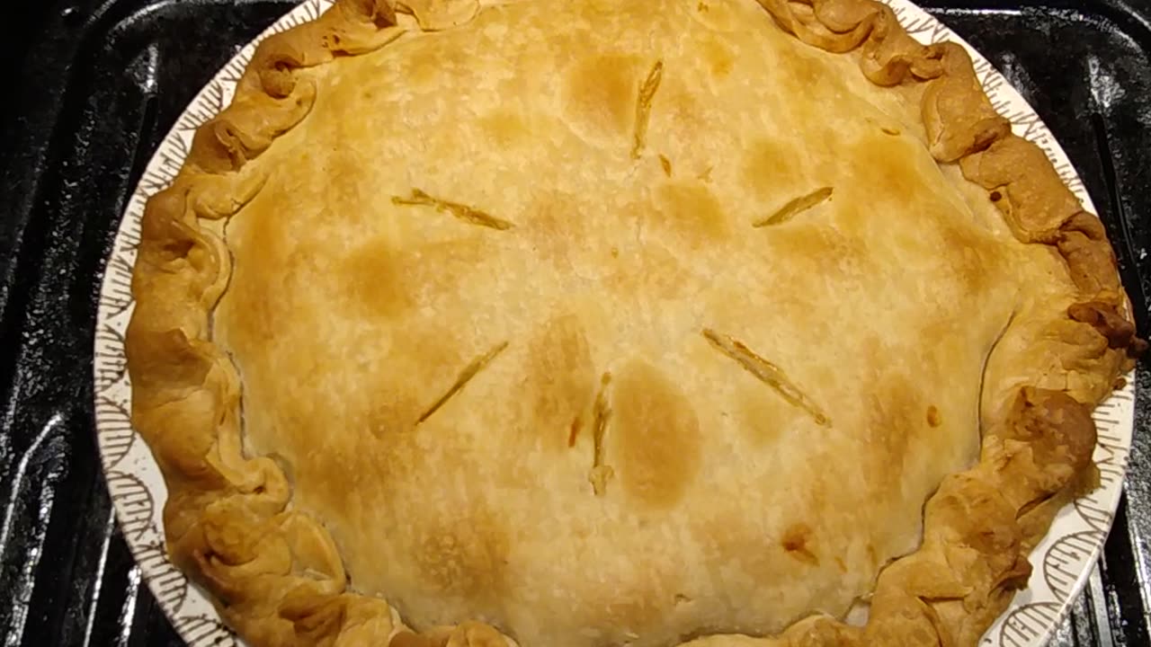 Eating Homemade Chicken Pot Pie Made By My Wife, Dbn, MI, 4/8/24