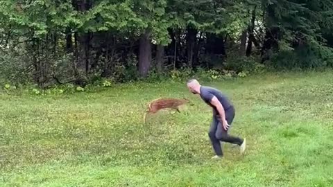 A young man rescues a baby deer in a tree hole