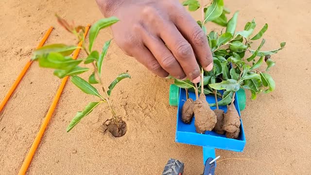 DIY tractor water pump science project | Project involving a motor | Planting with a drill machine