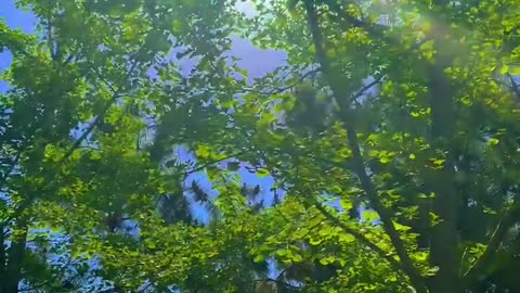 Beautiful scenery. Come and have a look