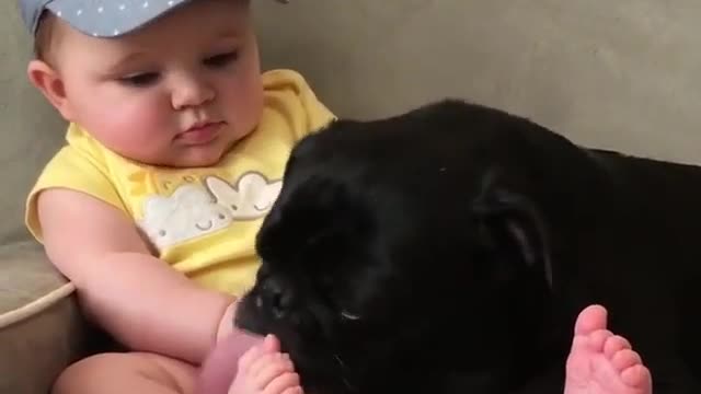 The story between children and dogs