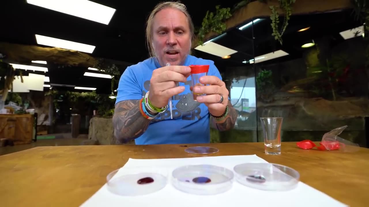 Snake Venom Vs Human Blood!