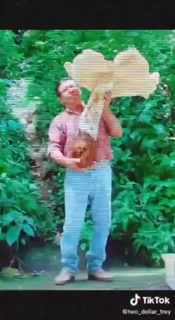 THE GIANTS - REVEALED - THOUGHTS?