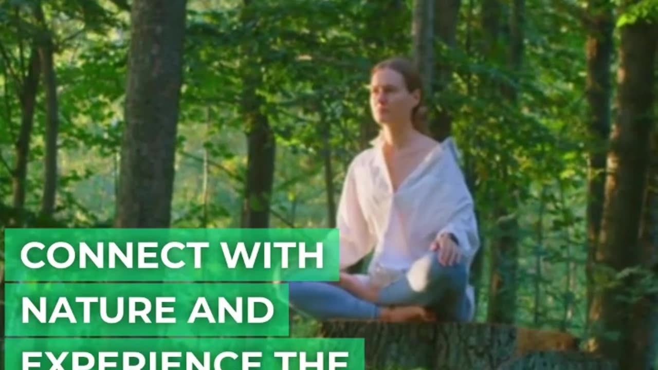 Forest Bathing Reconnect with Nature's Healing Energy