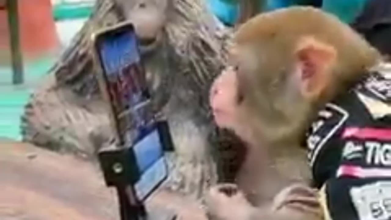 Smart monkey with smart phone