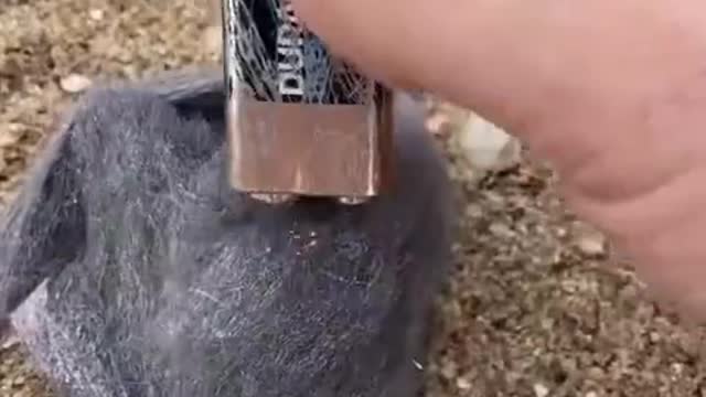 Can start a fire with dry batteries and steel wool?