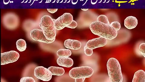 Fasting useful for Human