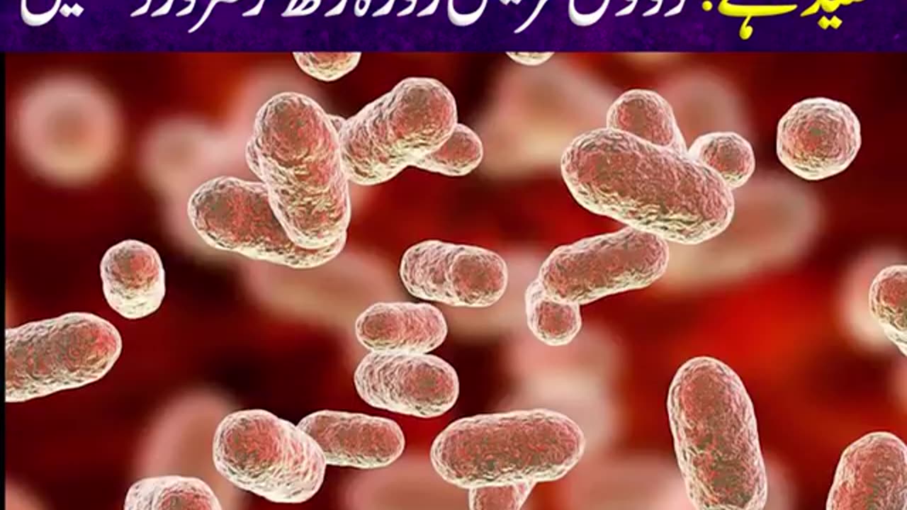 Fasting useful for Human