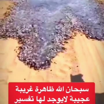 Somewhere in Saudi Arabia