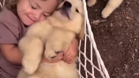Puppies 🐶