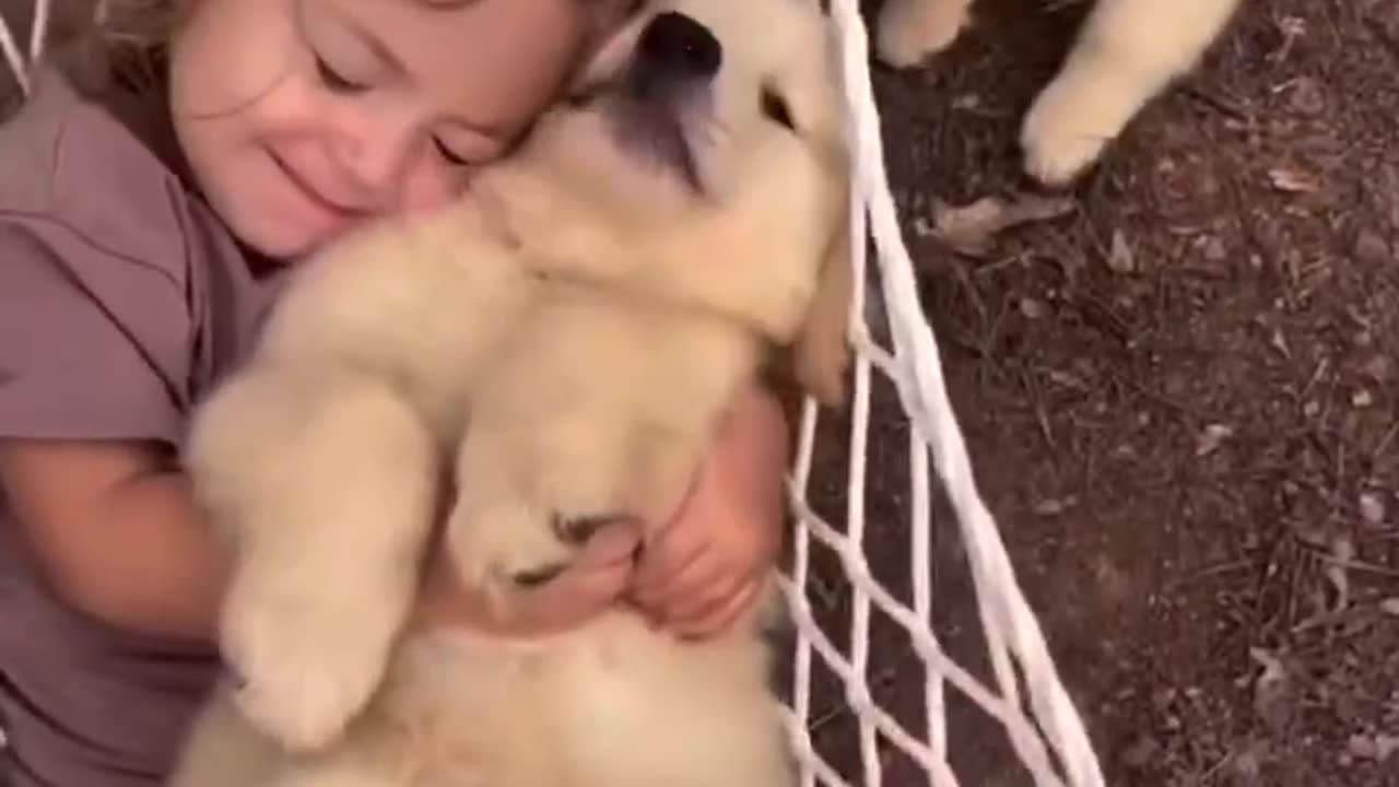 Puppies 🐶