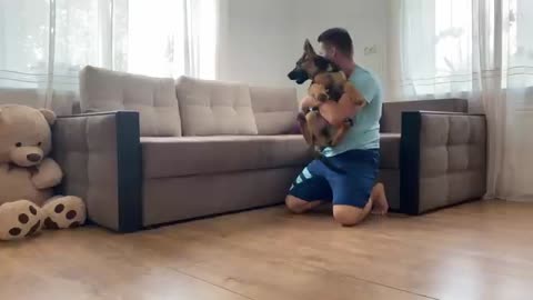 Faking My Death in Front of My German Shepherd Puppy [BEST REACTIONS EVER]