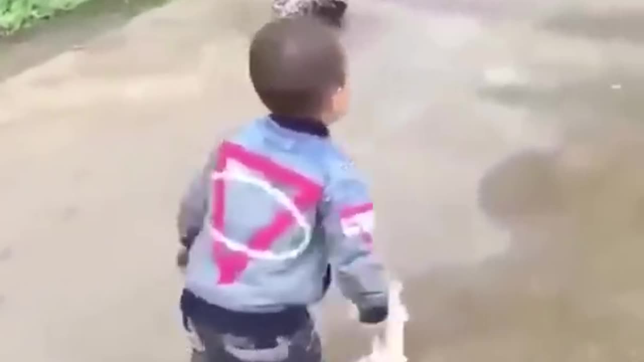 Best Funny Animal Videos of the year (2023), funniest animals ever. relax with cute animals video