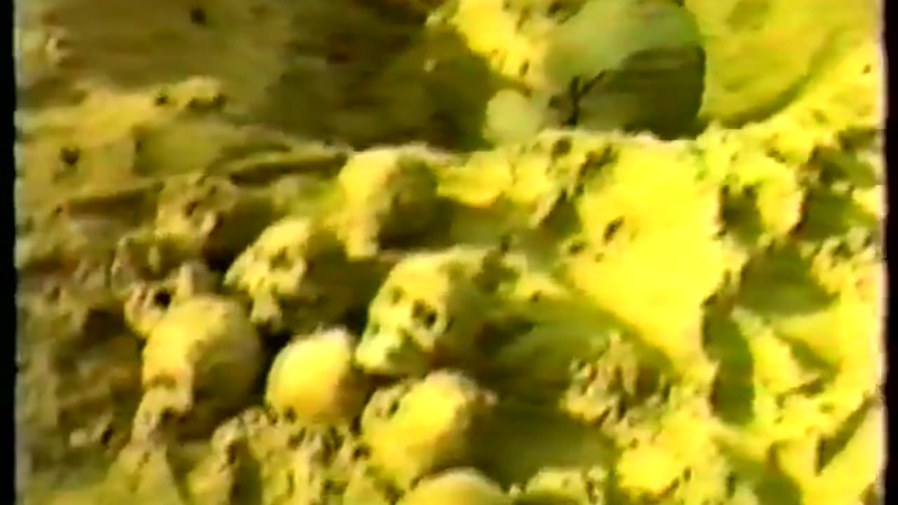 Highlights of the 10th IHR Conference (1990)