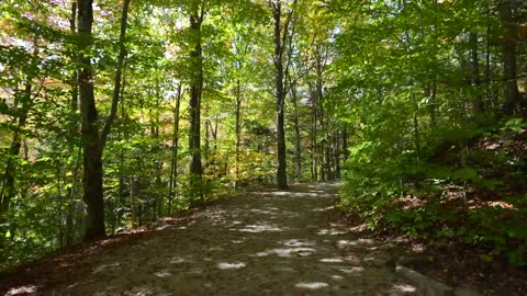 New England Fall Colors Road Trip_ Kancamagus Highway, Stowe, Sleepy Hollow(00h45m24s-00h47m33s)