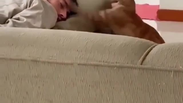 Wake up daddy, im hungry !!!