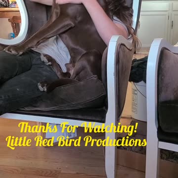 Budderz Whiney Pants