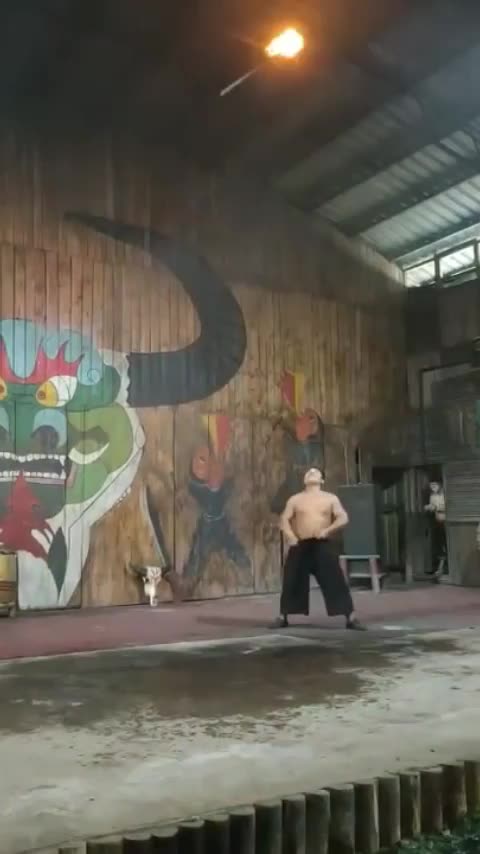 Epic Fire Trick Fail Leaves Crowd in Shock! 😂