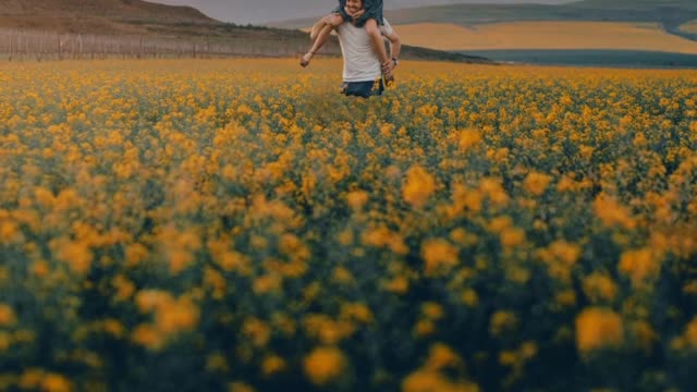 Urdu Poetry Video #sadpoetry #bestpoetrylines