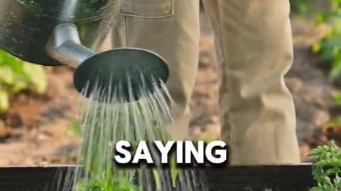 🚨🔥🔥🚨 They're shutting down the food supply, because food is how you control people...