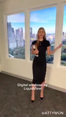 Digital Windows by LiquidView (for your dystopian future available now)