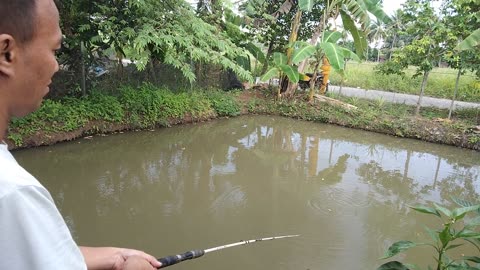 Tilapia Fishing | Starring Michael Roy Baguhin