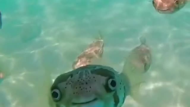 What are you looking at? Look