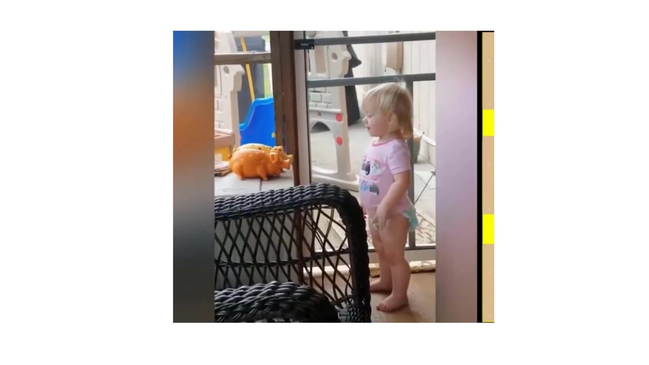 Funny Baby Videos Compilation