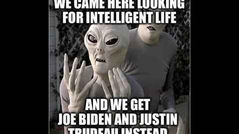 Random Memes 305