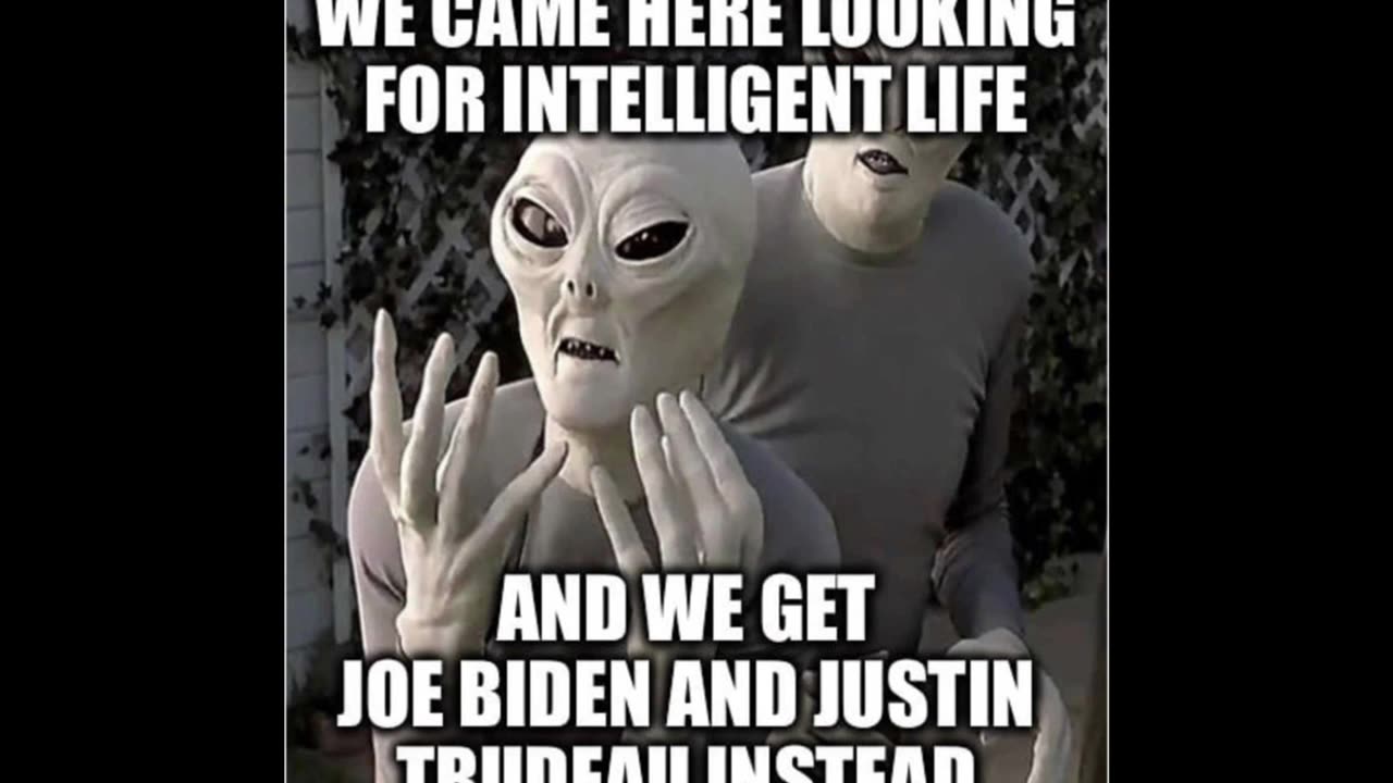 Random Memes 305