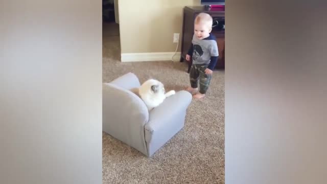 Children and kittens fight for seats