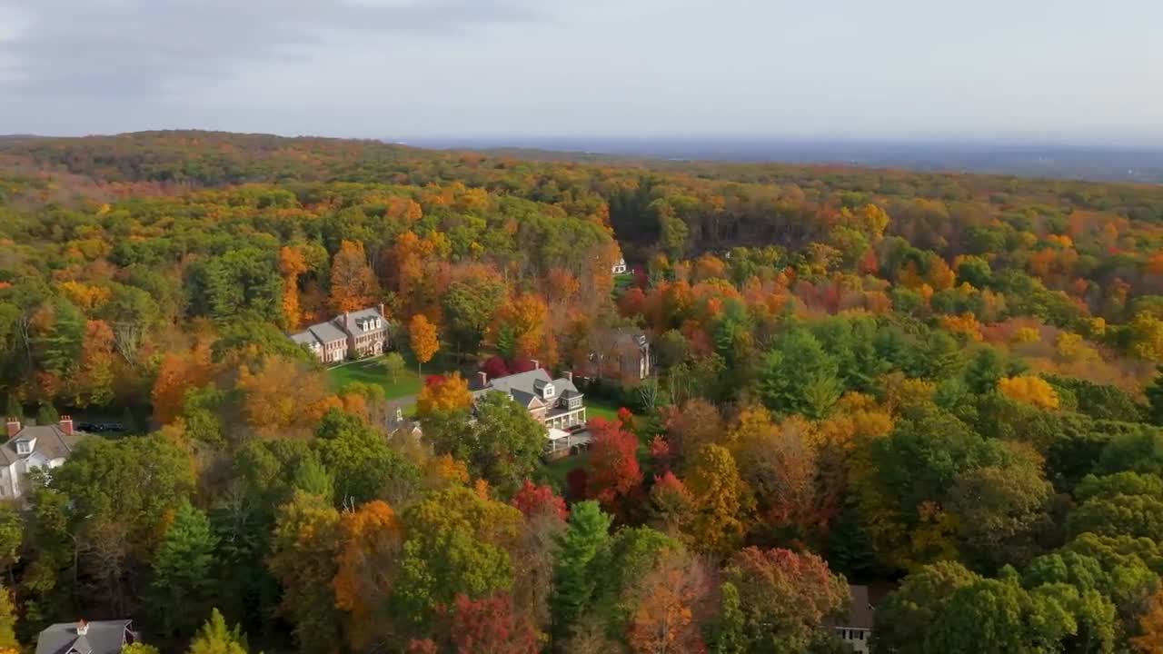 Enchanting Autumn Forests with Beautiful Piano Music