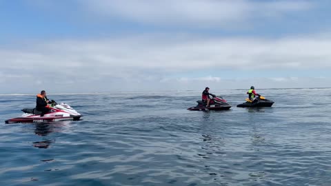 Jet Skiers Surprised by an Unlikely Visitor