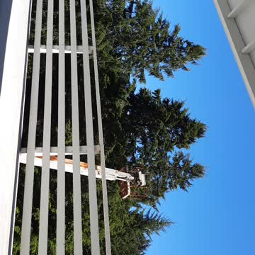 USCG CHOPPER WEST D.LAKE