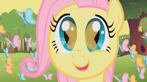 Flutterwonder