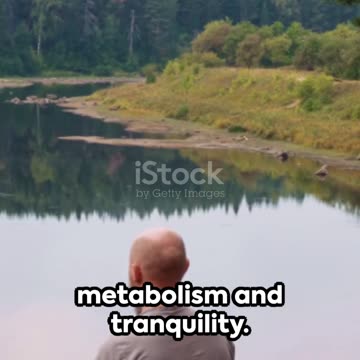 Shape Up, Stress Down Metabolism for Serene life