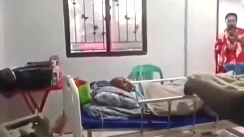 Elephant brought to hospital to say goodbye to his terminally ill caretaker