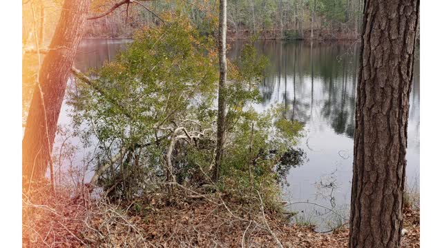 Hike to Campbell Pond