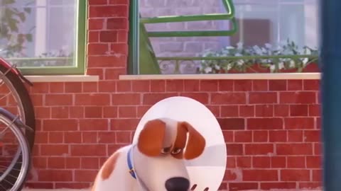 Mischievous Pets! 🐶 The Secret Life of Pets 2 | Extended Preview |