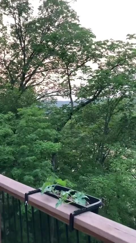 Dutch Sinse - Canada Wildfire smoke 💨 seen in St. Louis Missouri, June 7 2023