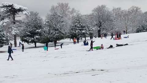 Snow Day at Owl's Head Park